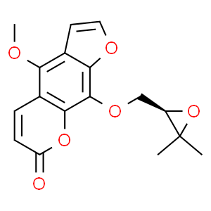 白當(dāng)歸腦